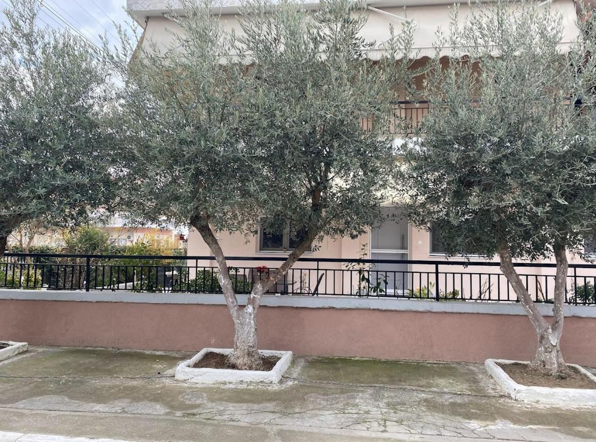 Dráma Olive Inn City מראה חיצוני תמונה